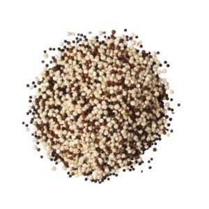 Quinoa Tricolor